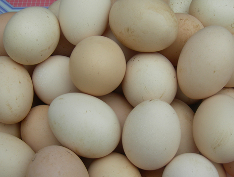土雞蛋