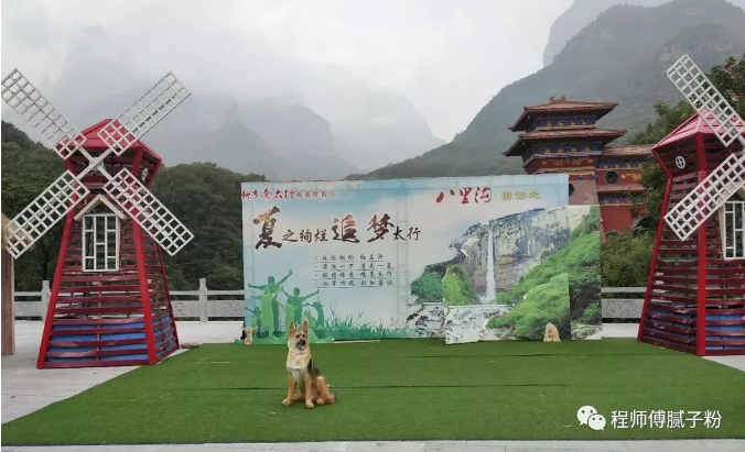 1533283370(1) 1533283370(1)